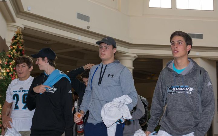蓝冠手机彩票 · 训练